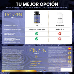 Lionzen Satia