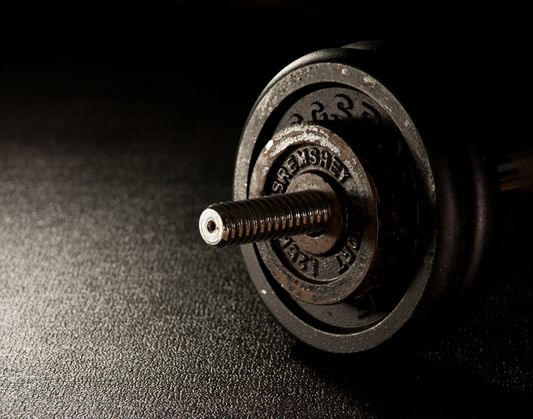 Rutina matinal para rendir como un león