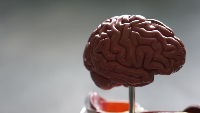 Colesterol 'alto': 5 afirmaciones que la ciencia matiza (y lo que de verdad importa vigilar)