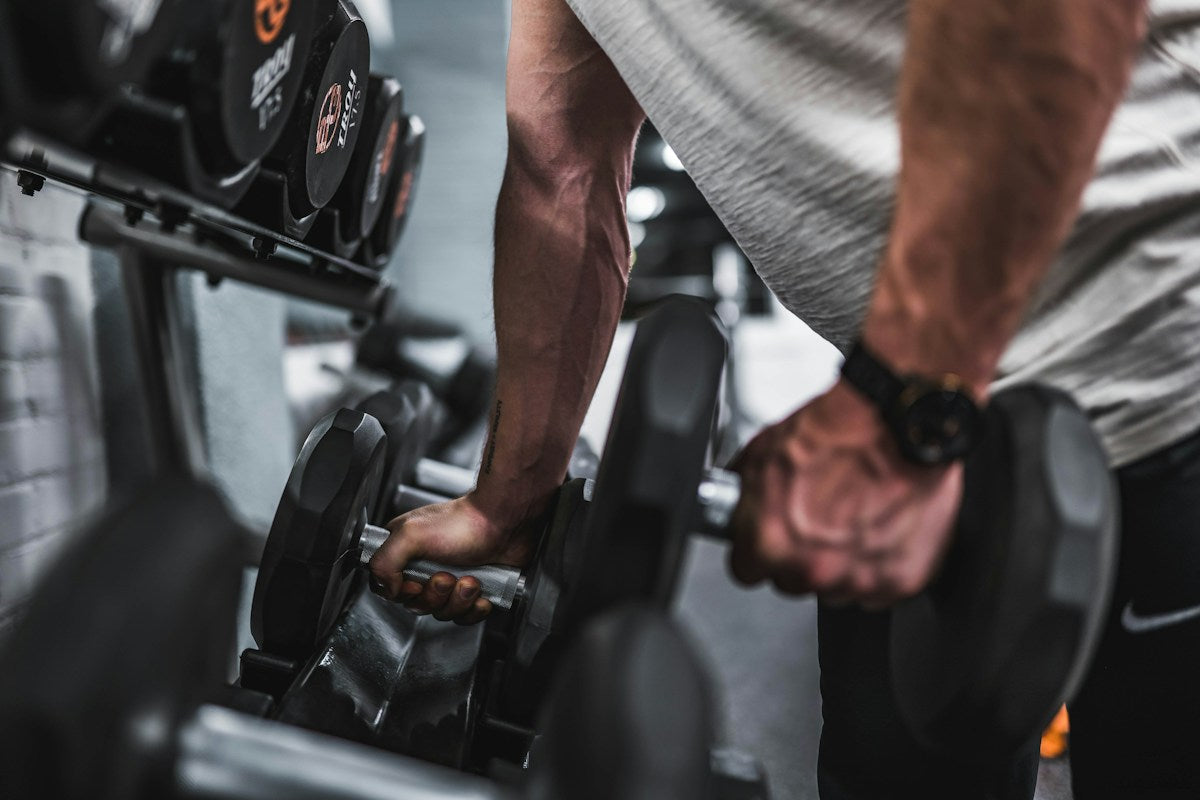 Creatina más allá del gimnasio: lo que hace por tu cerebro y tu energía diaria