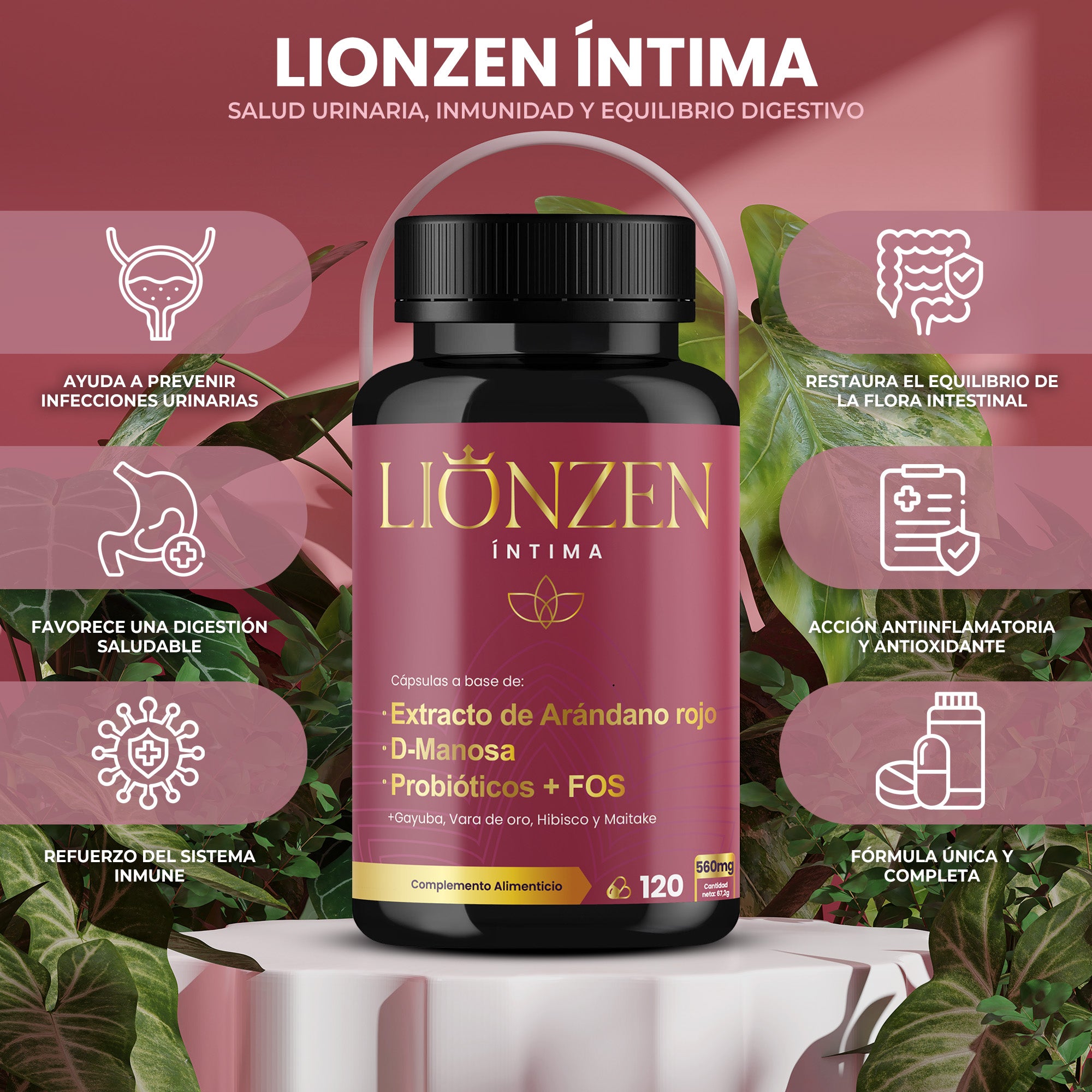 Lionzen Intima