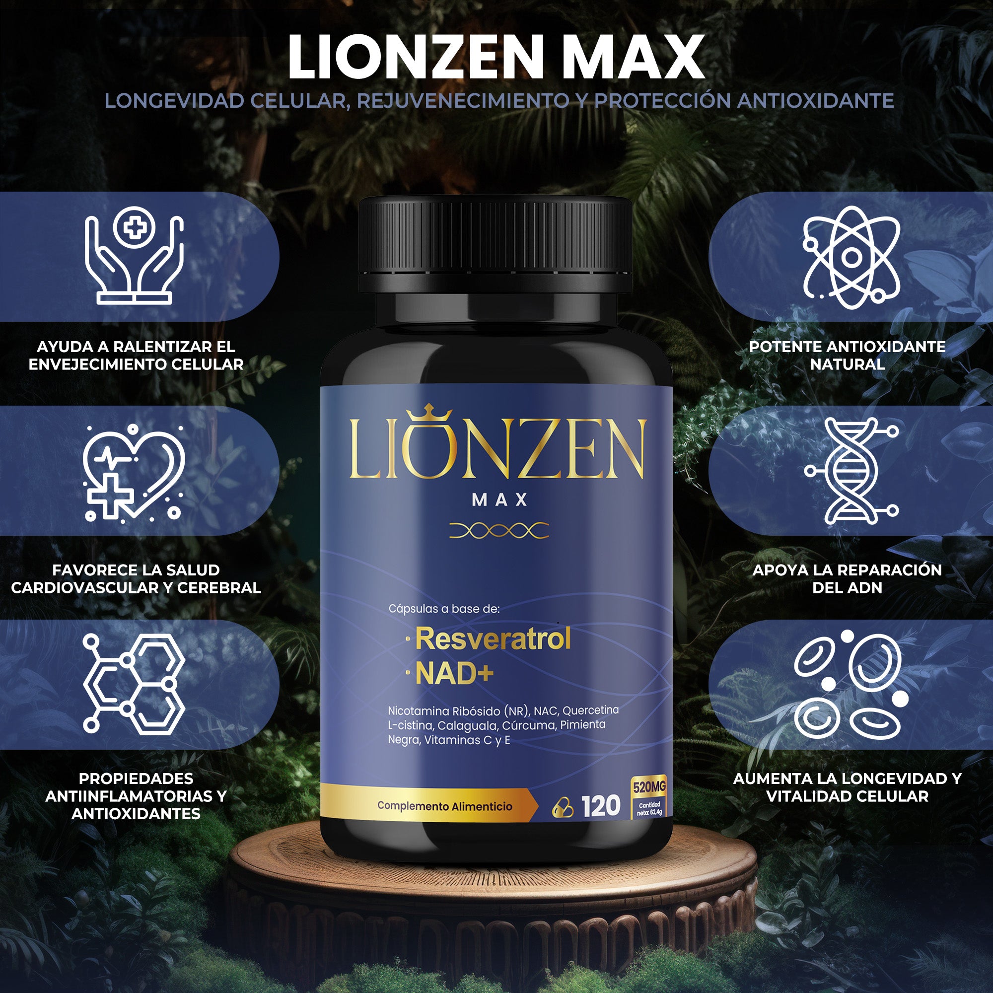 Lionzen Max