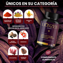 Lionzen Heart