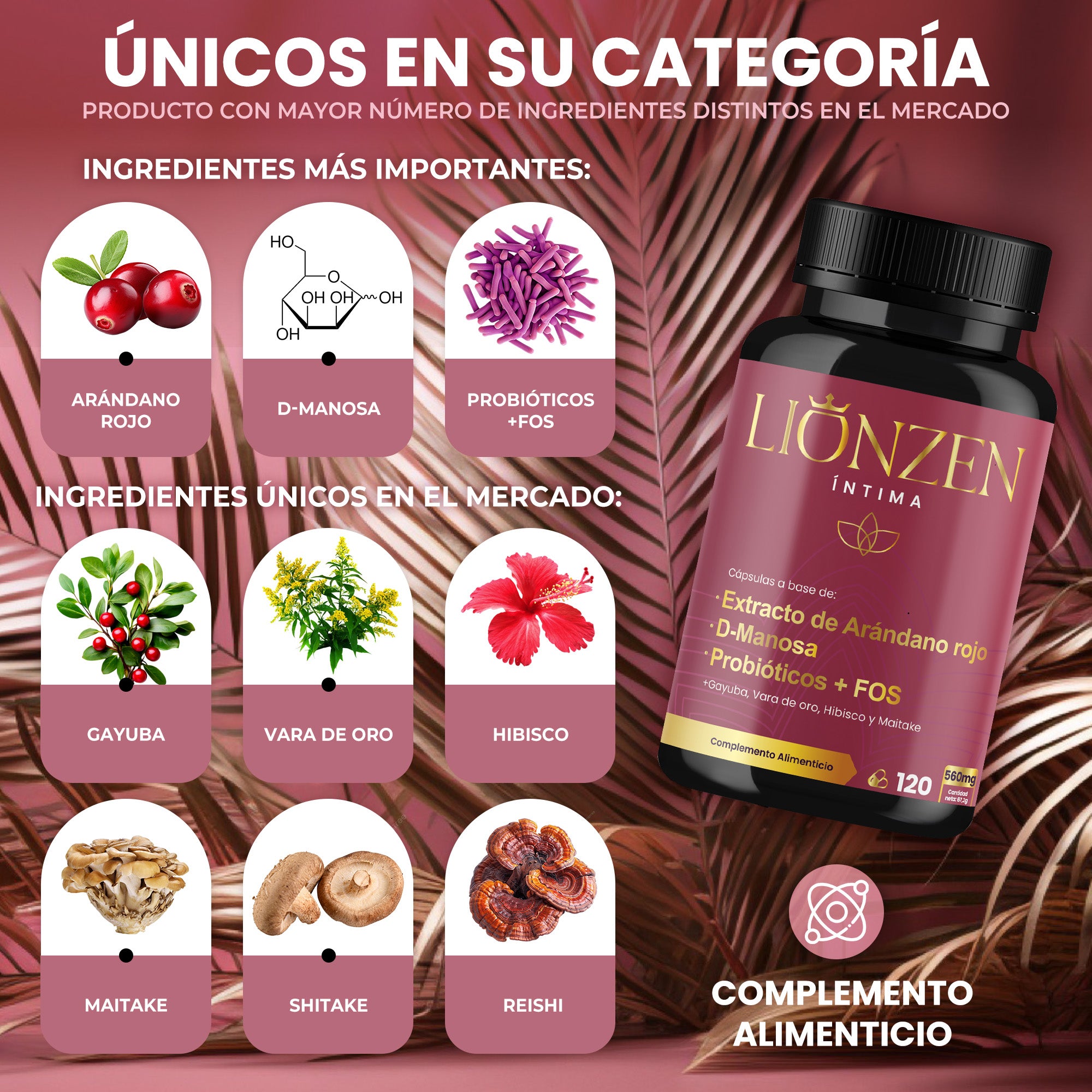 Lionzen Intima
