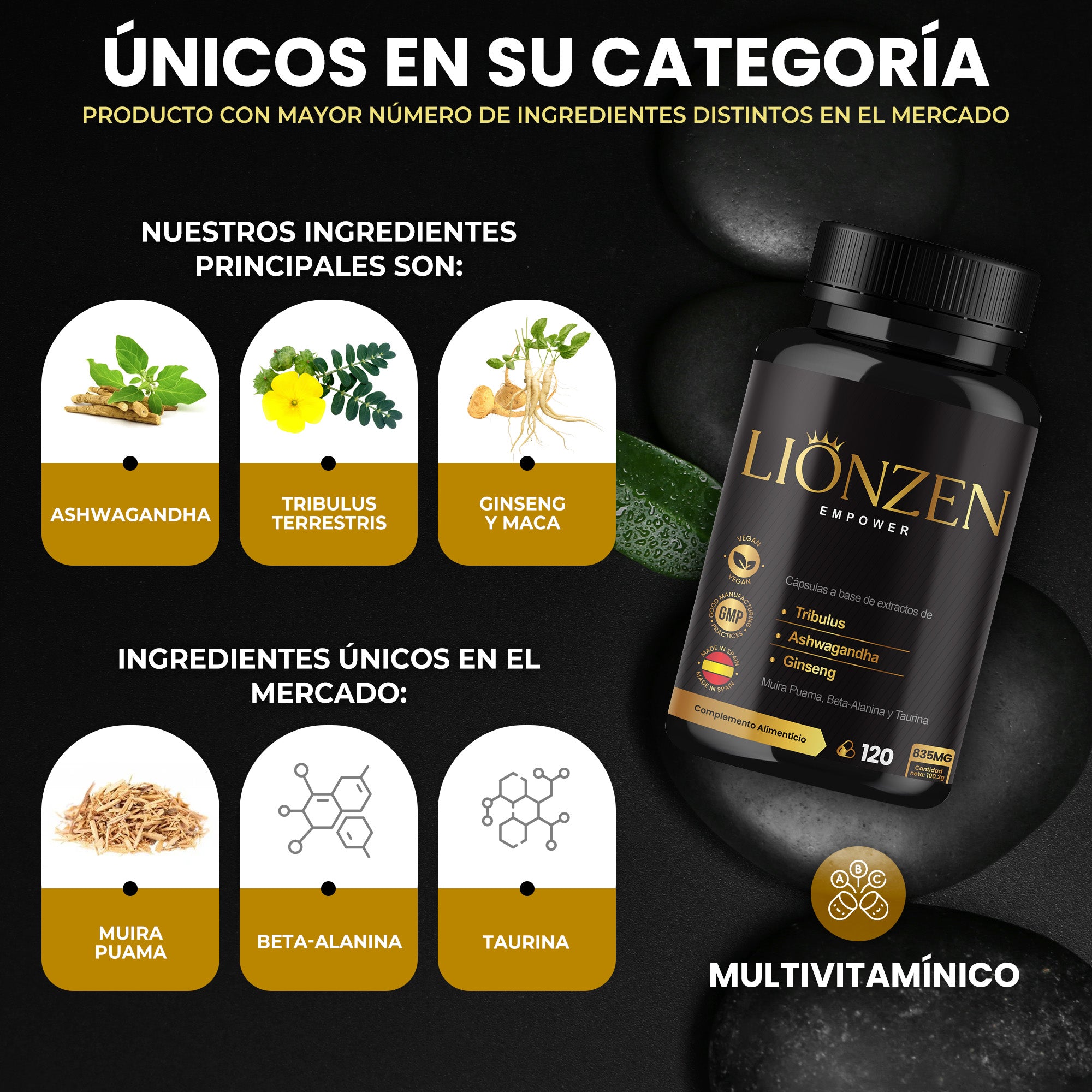 Lionzen Empower