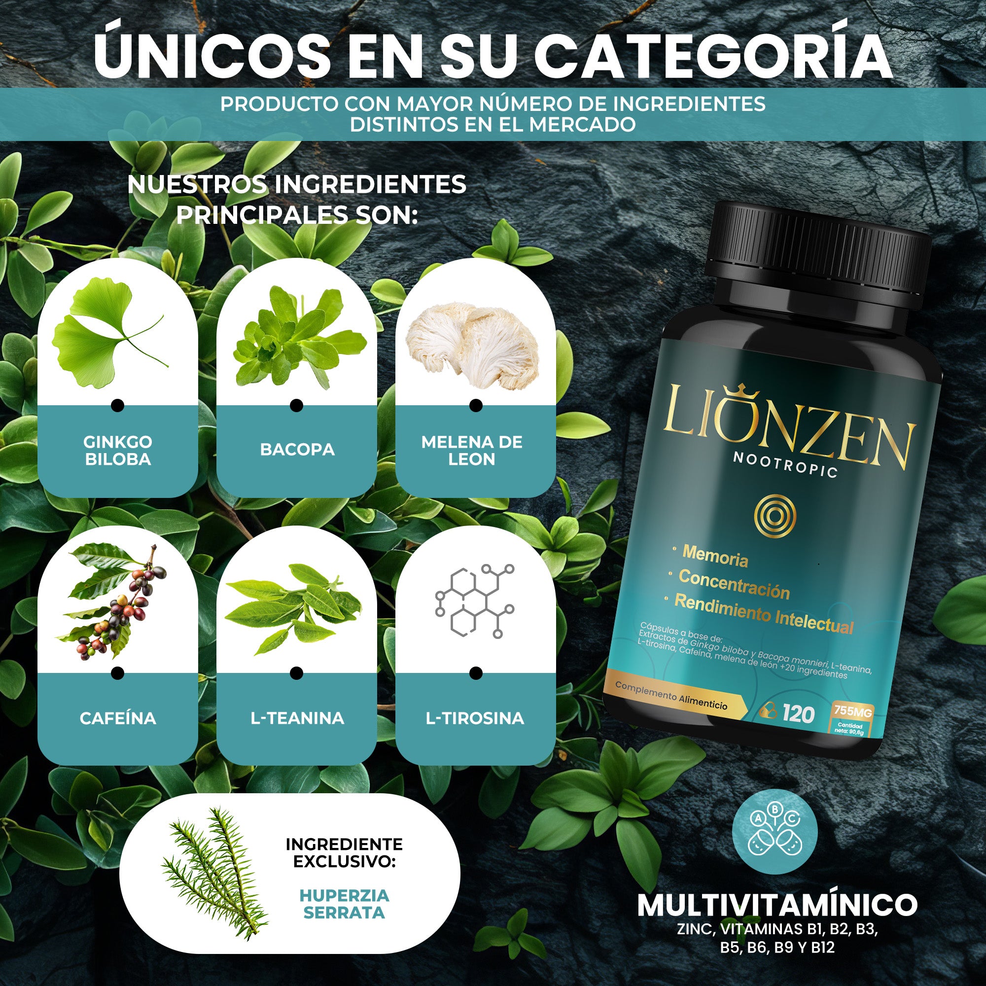 Lionzen Nootropic