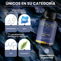 Lionzen Max