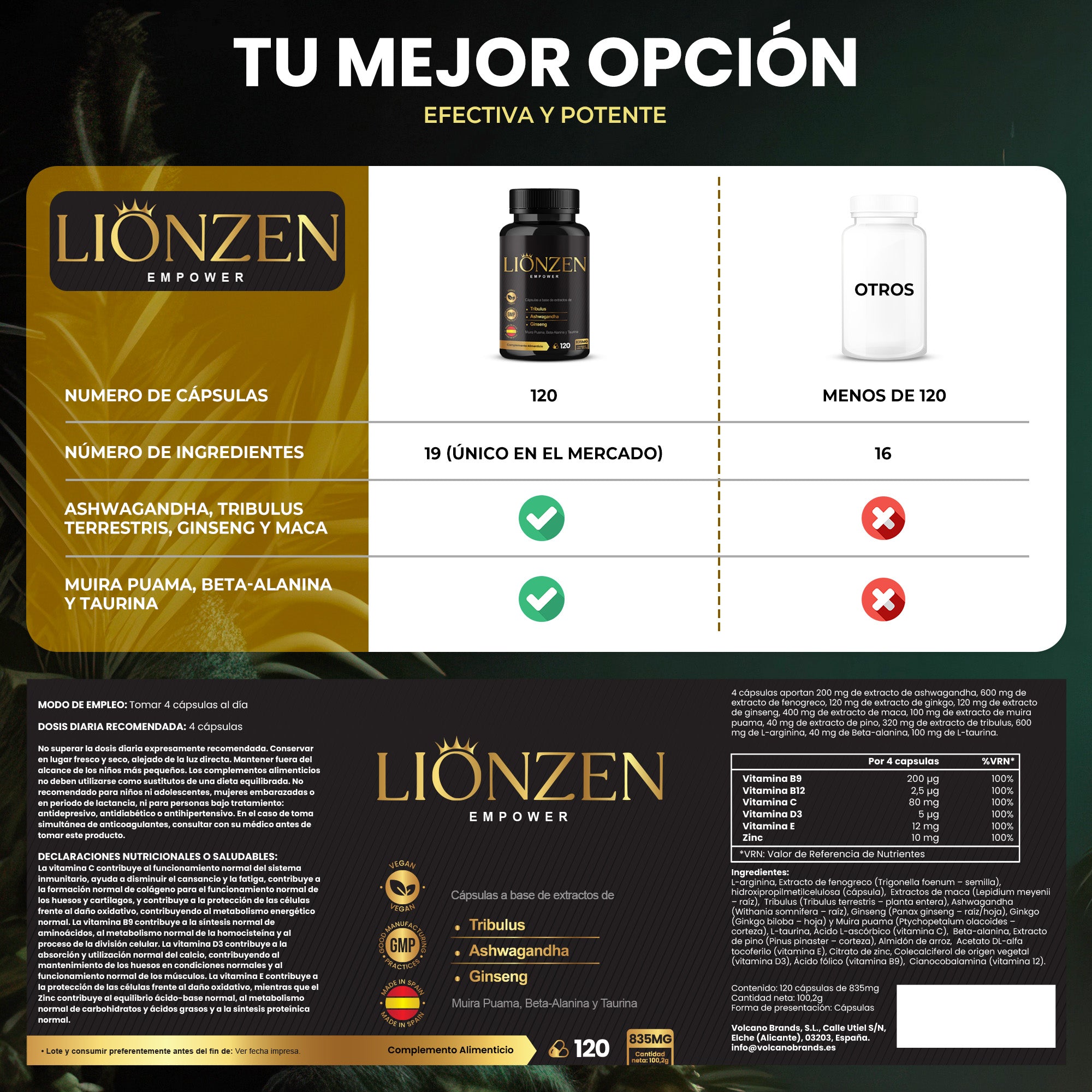 Lionzen Empower