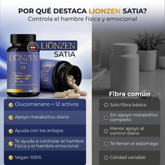Lionzen Satia