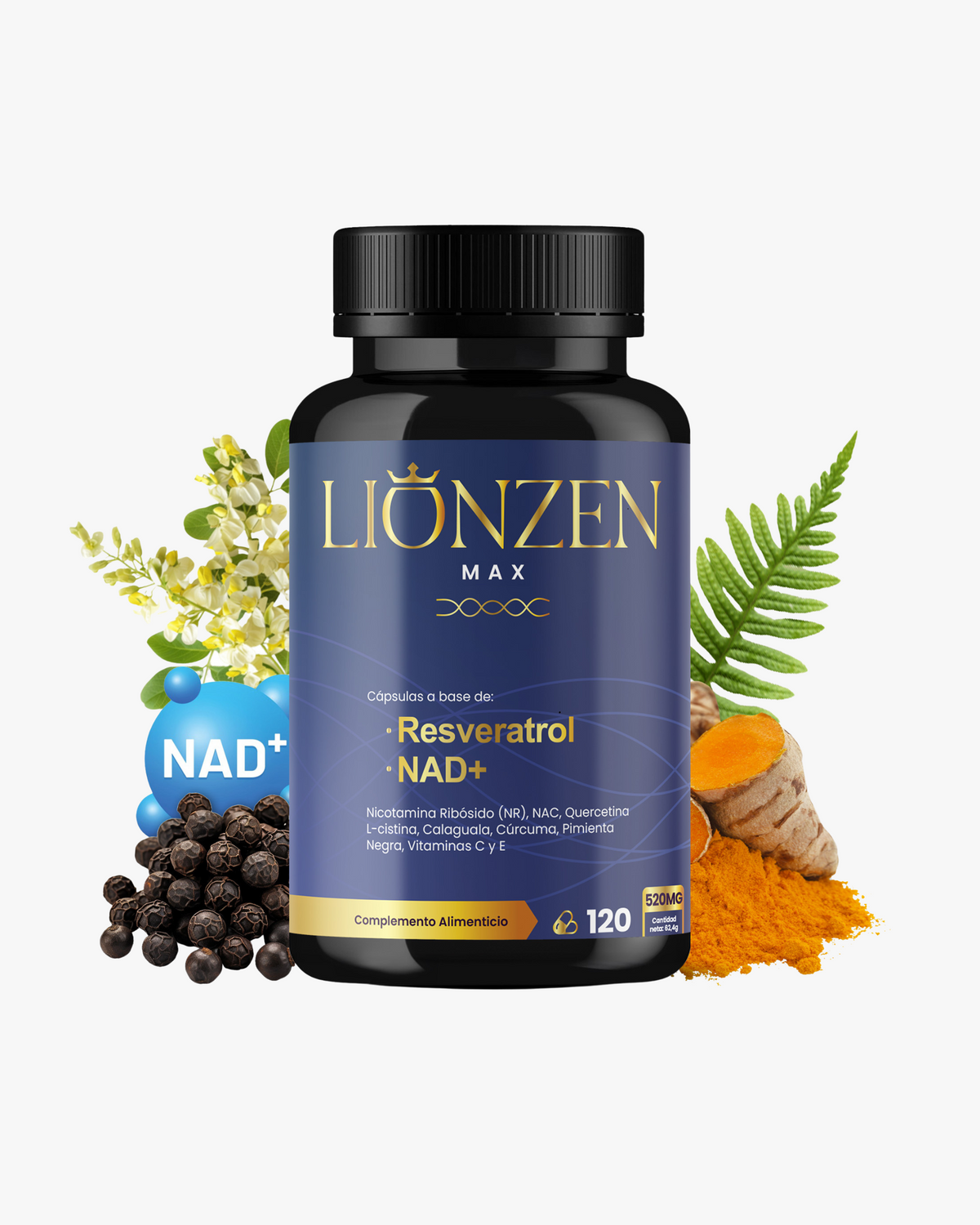 Lionzen Max